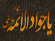 امامت امام جواد (ع) ، شیعہ روایات کی روشنی میں<font color=red size=-1>- مشاہدات: 8162</font>