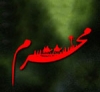 شیعوں کا امام حسین(ع) کو قتل کرنا۔<font color=red size=-1>- مشاہدات: 10022</font>