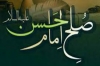 معاویہ کے ساتھ امام حسن علیہ السلام کی صلح<font color=red size=-1>- آراء: 0</font>